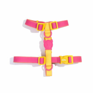 Neopro Lyra Dog H Harness