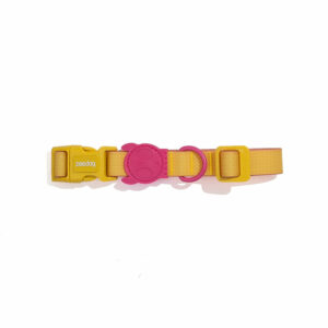 Neopro Lyra Dog Collar