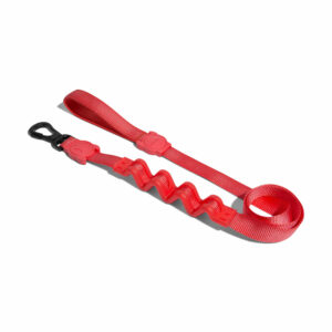 Neon Coral Dog Ruff Leash