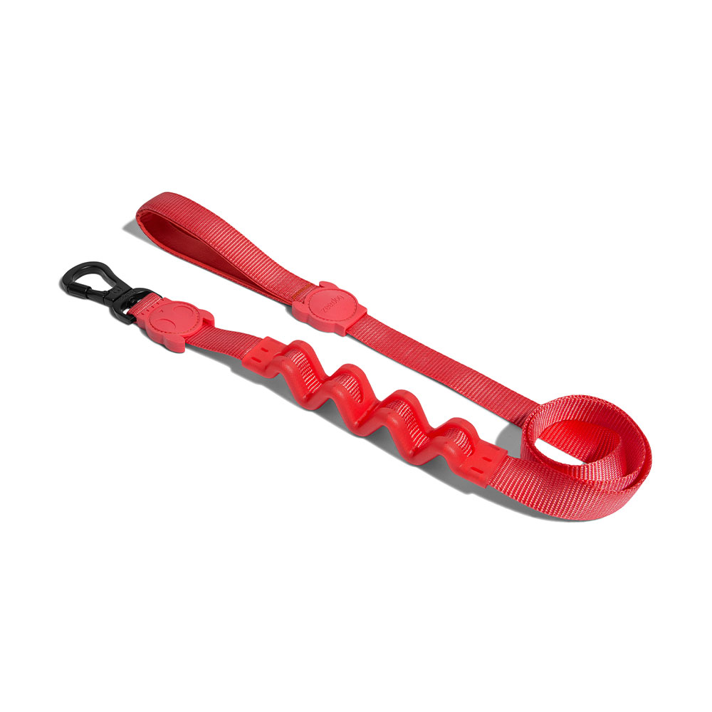 Neon Coral Dog Ruff Leash