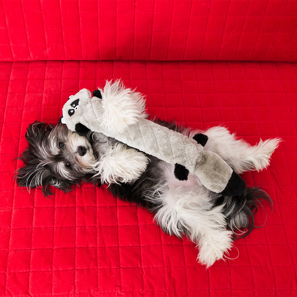 Jigglerz® - Raccoon - Image 3