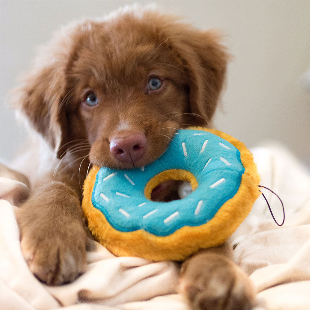 Donutz - Blueberry - Image 5