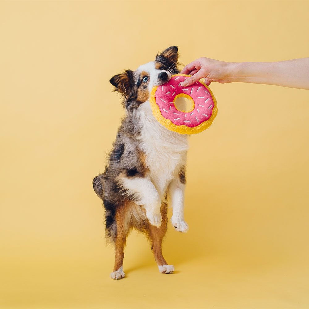 Donutz - Strawberry - Image 4
