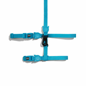 Ultimate Blue Cat Harness with Leash