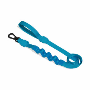 Ultimate Blue Dog Ruff Leash