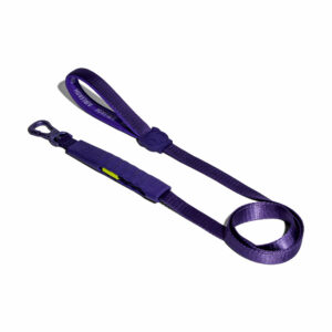 Violet Airleash