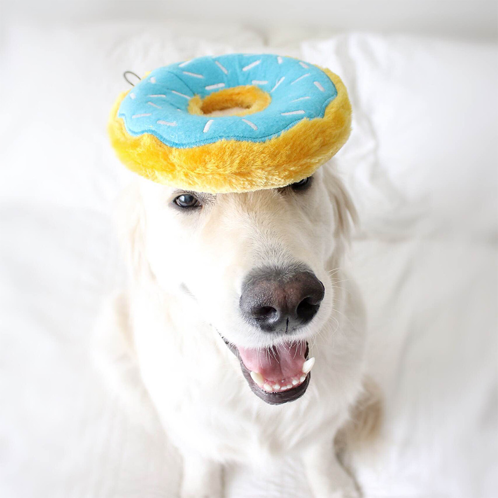 Donutz - Blueberry - Image 3