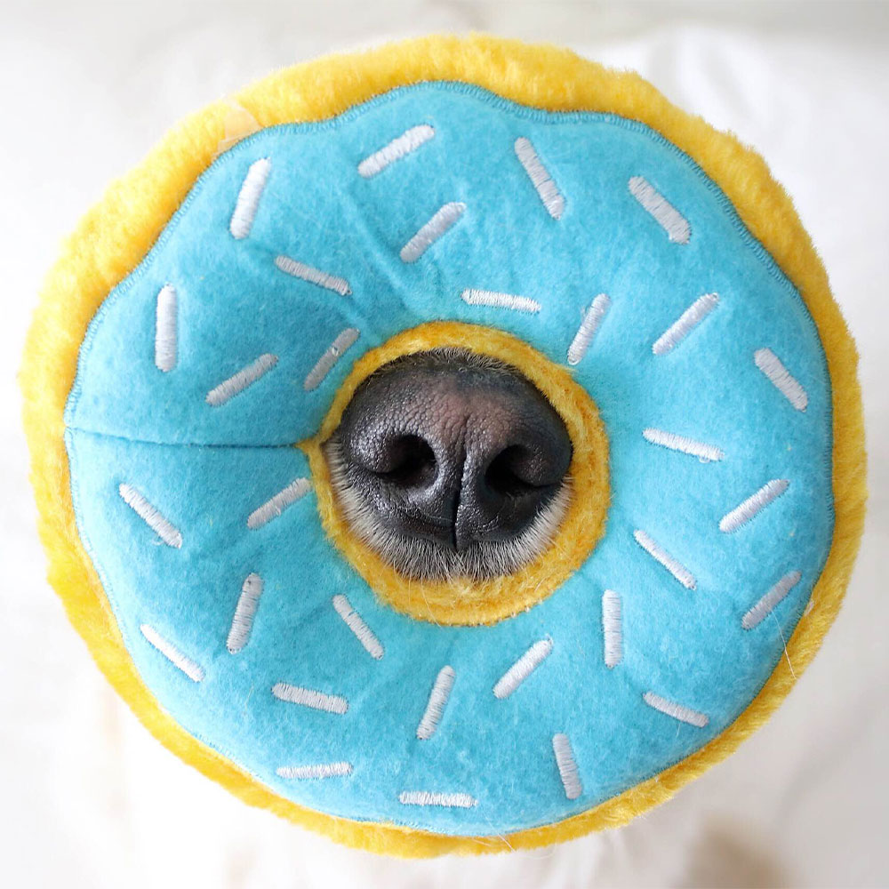 Donutz - Blueberry - Image 4