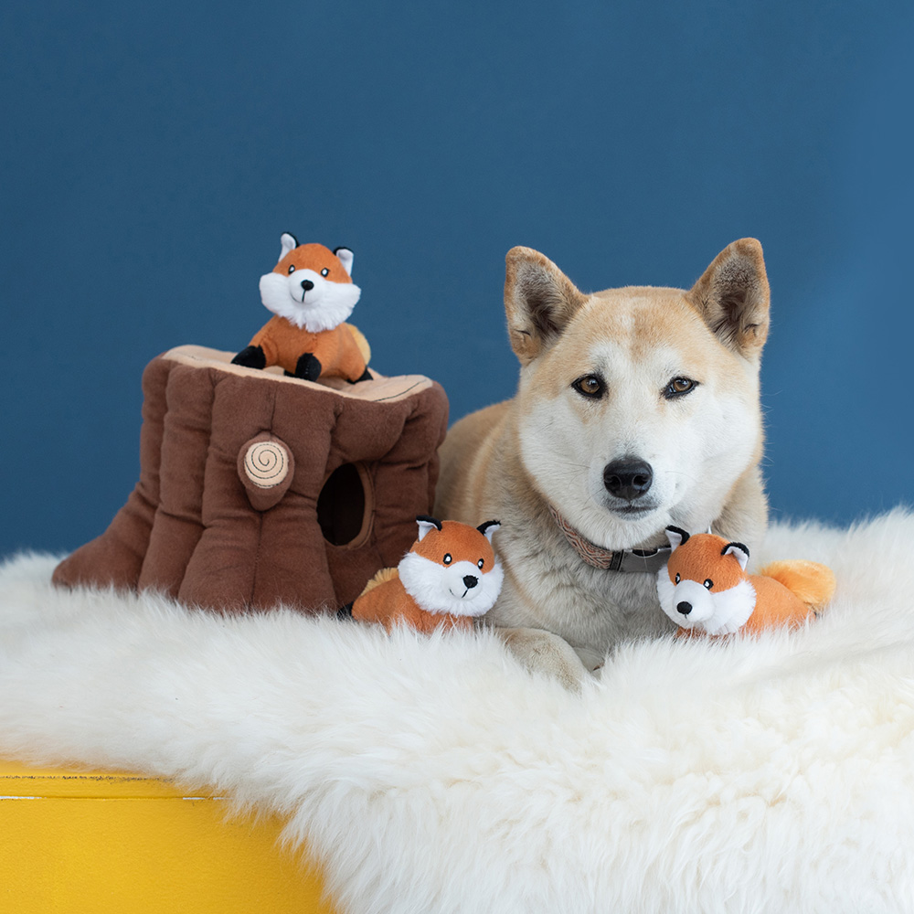 Zippy Burrow - Fox Stump - Image 2