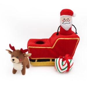 Holiday Burrow - Santa's Sleigh