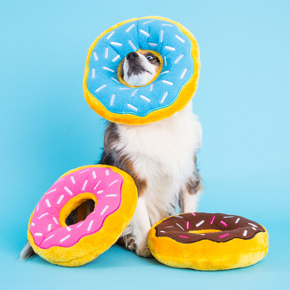 Jumbo Donutz - Blueberry - Image 3