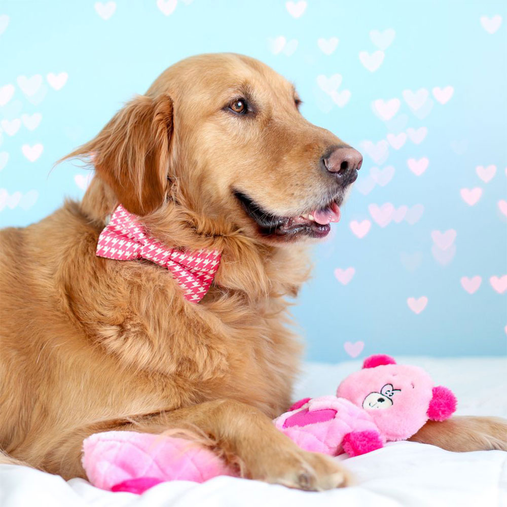 Valentine's Jigglerz® - Pink Bear - Image 2