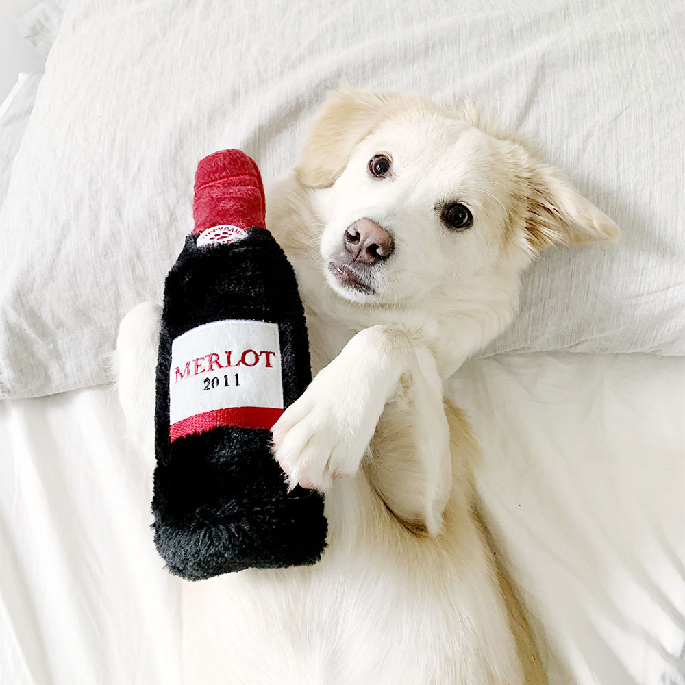 Happy Hour Crusherz - Red Wine - Image 2