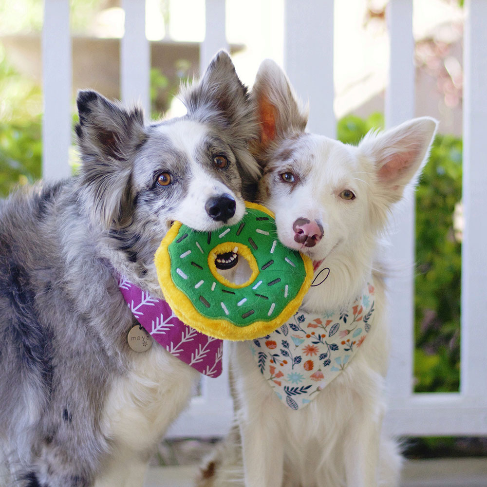 Donutz - Mint Chip - Image 2