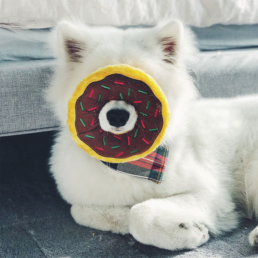 Donutz - Gingerbread - Image 2