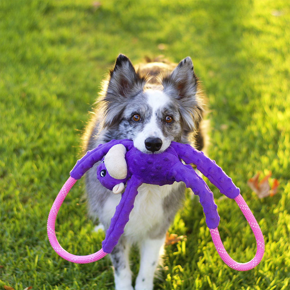 Monkey RopeTugz® - Purple - Image 2
