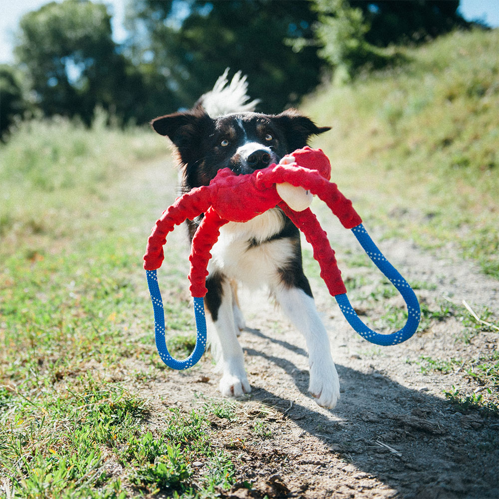 Monkey RopeTugz® - Red - Image 2