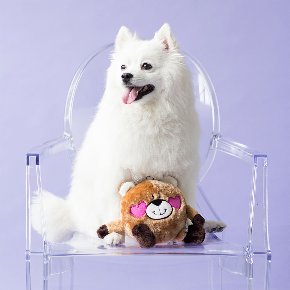 Valentine's Brainey - Bear in Love - Image 2