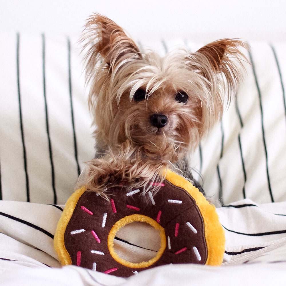 Junior Donutz - Chocolate - Image 2