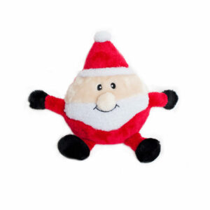 Holiday Brainey - Santa