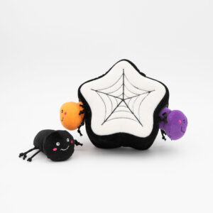 Halloween Burrow - Spider Web