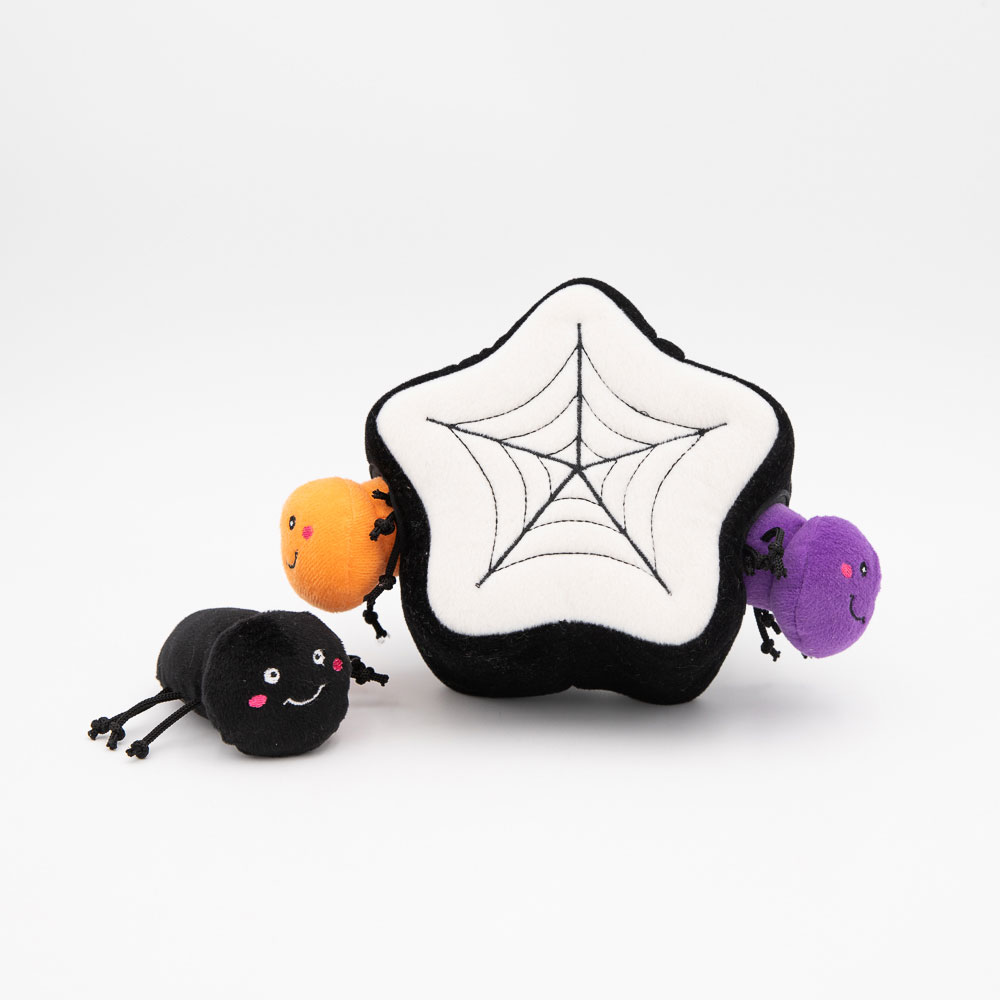 Halloween Burrow - Spider Web