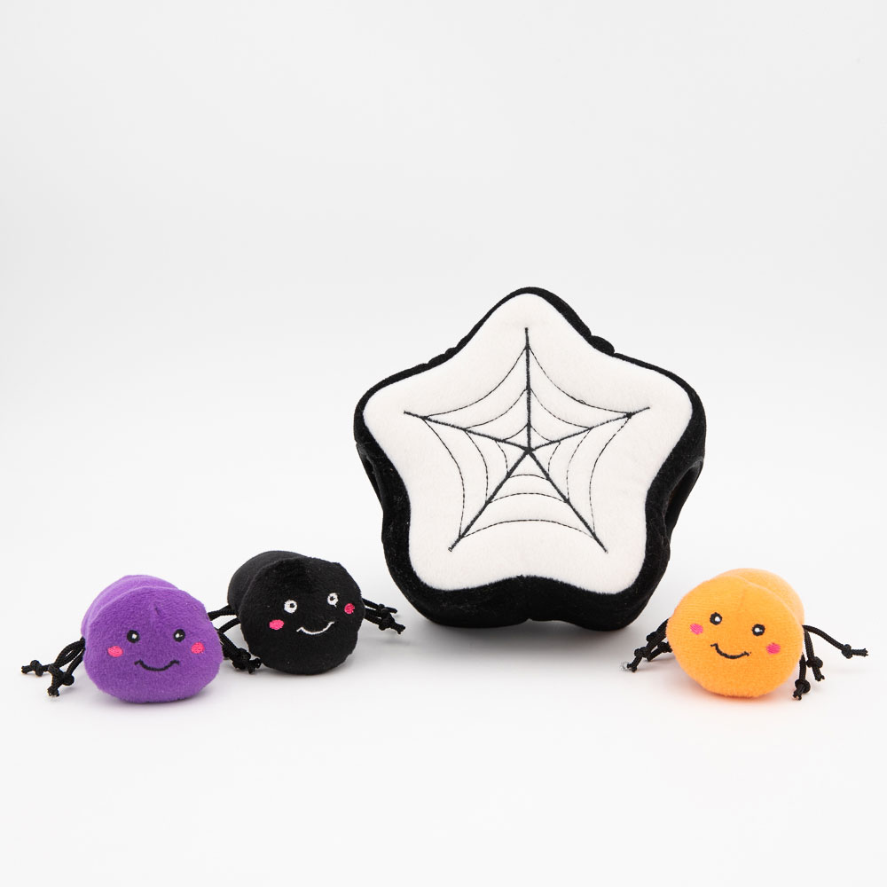 Halloween Burrow - Spider Web - Image 2