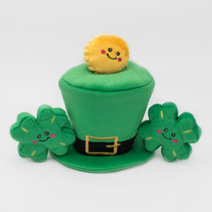 St. Patrick's Burrow - Leprechaun Hat