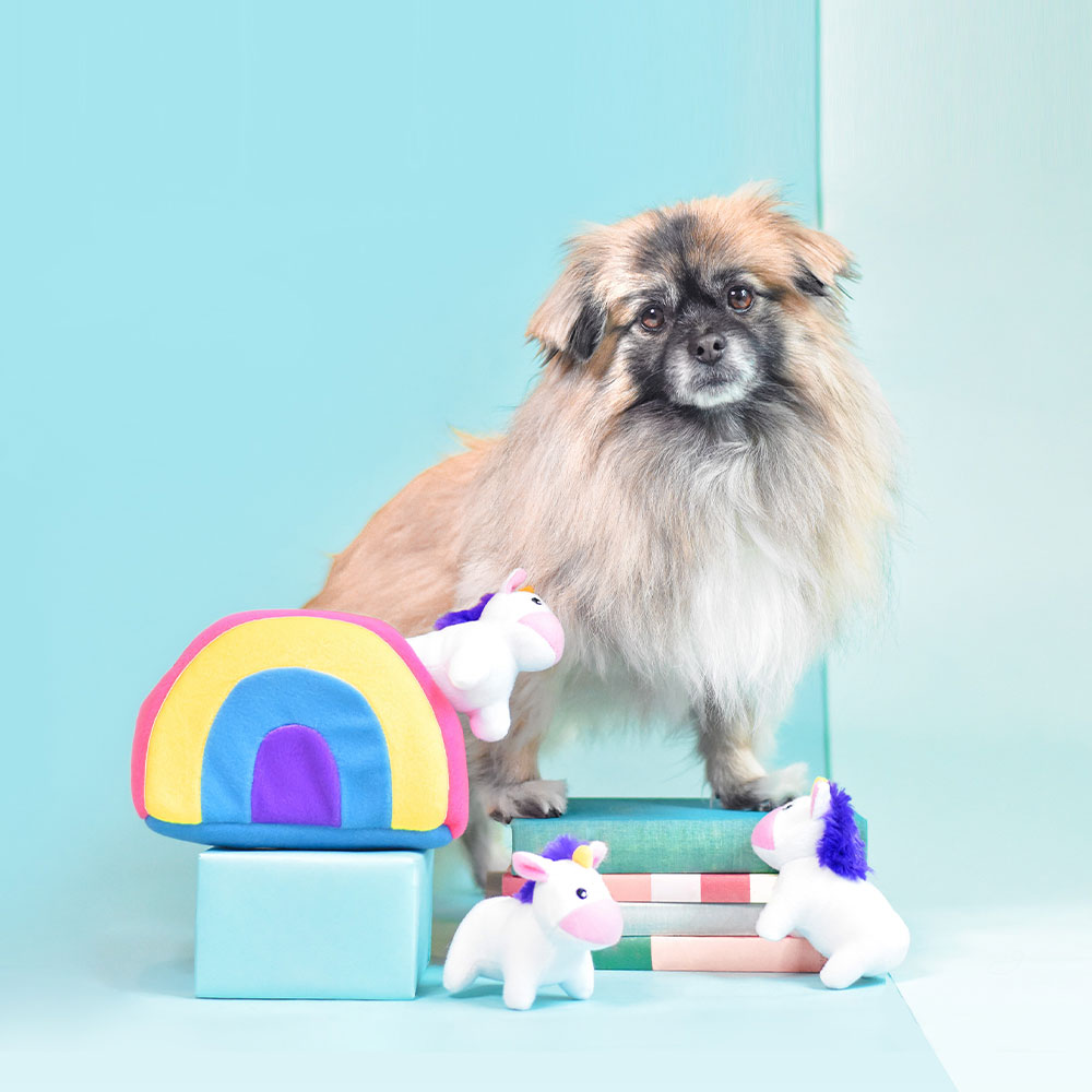 Zippy Burrow - Unicorns in Rainbow - Image 2
