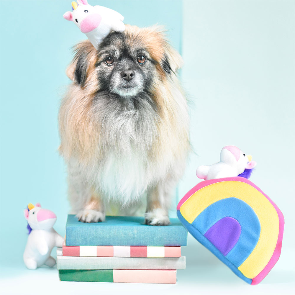 Zippy Burrow - Unicorns in Rainbow - Image 3
