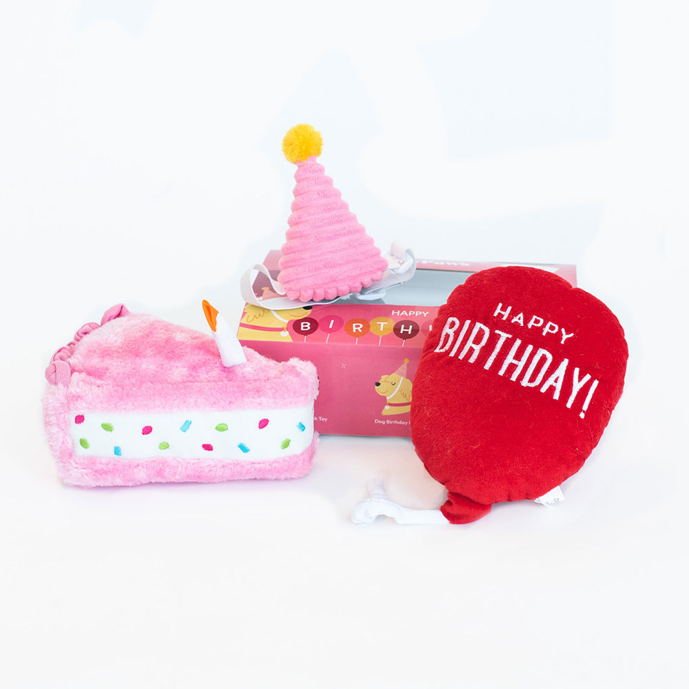 Pup Birthday Box - Pink