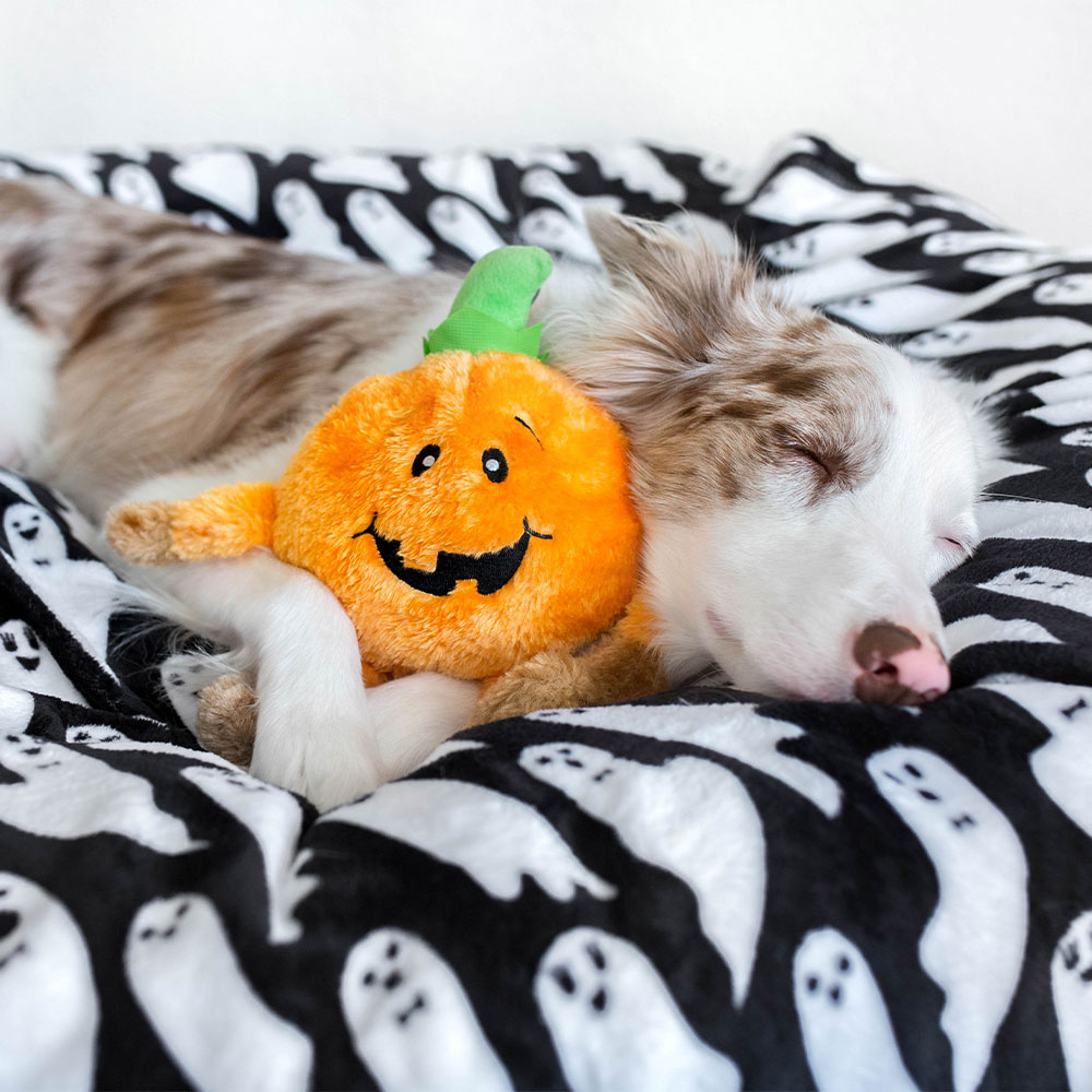Halloween Brainey - Pumpkin - Image 2