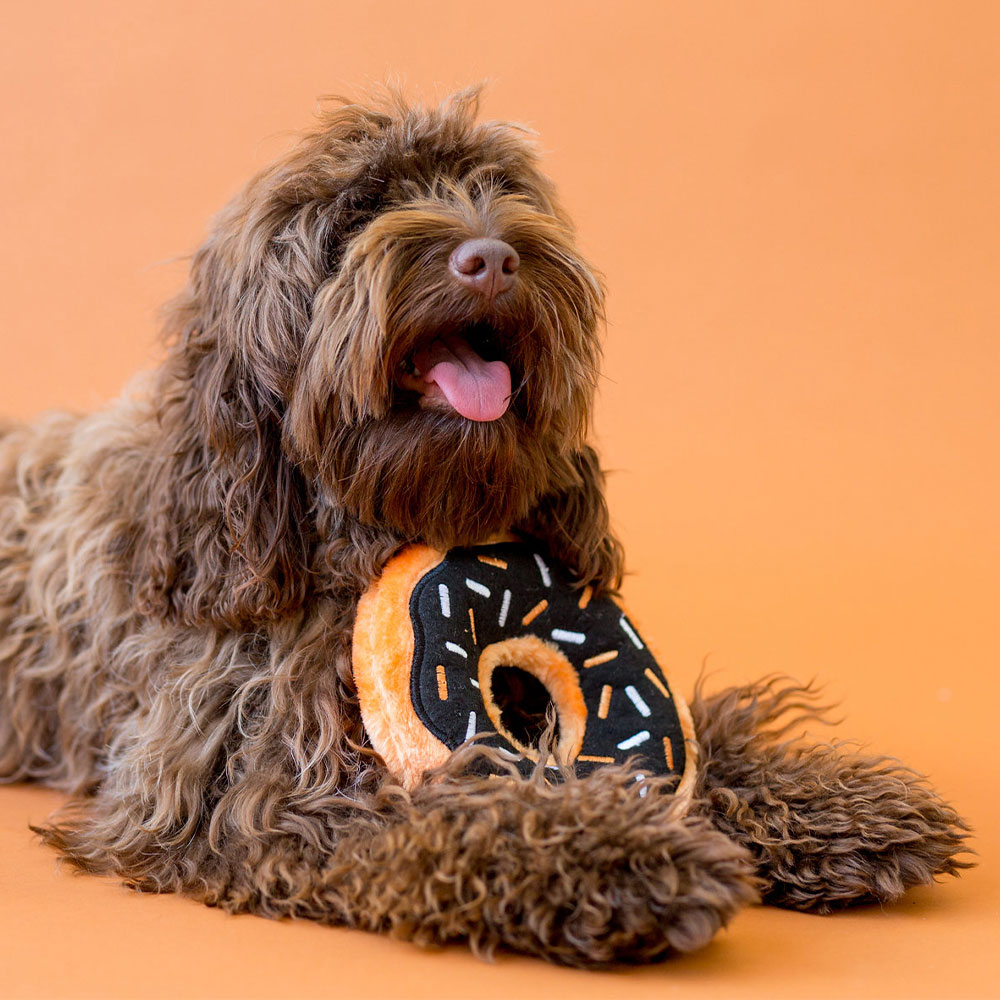 Donutz - Pumpkin Spice - Image 2