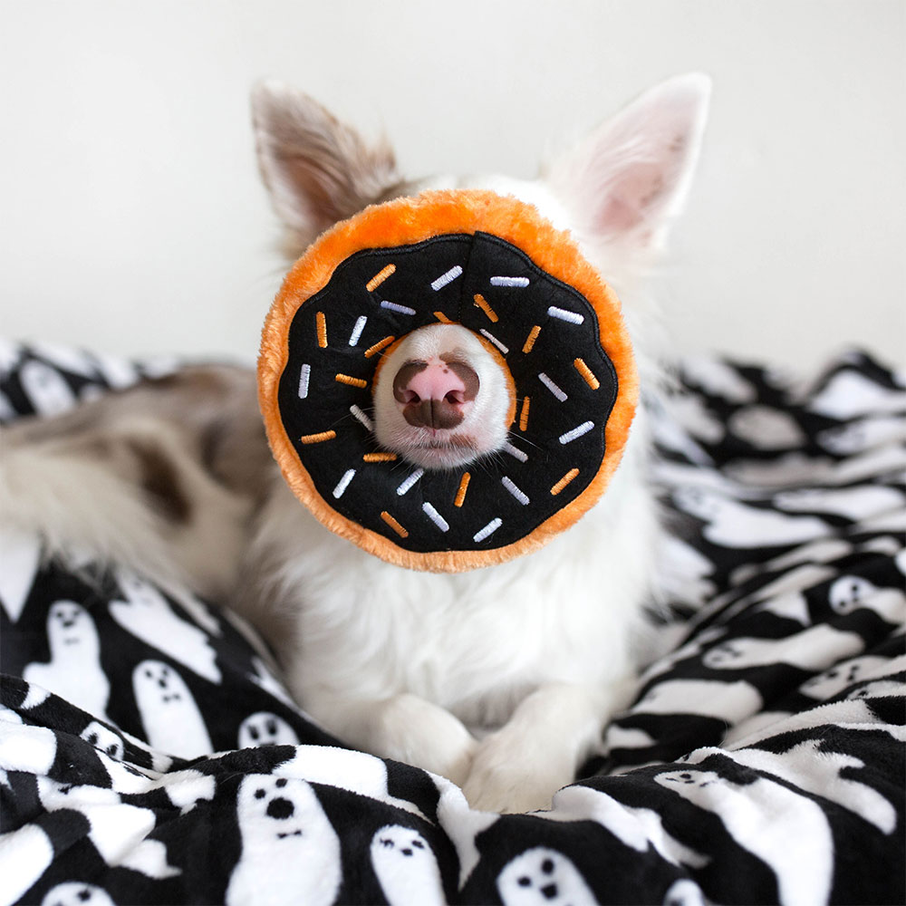Donutz - Pumpkin Spice - Image 3
