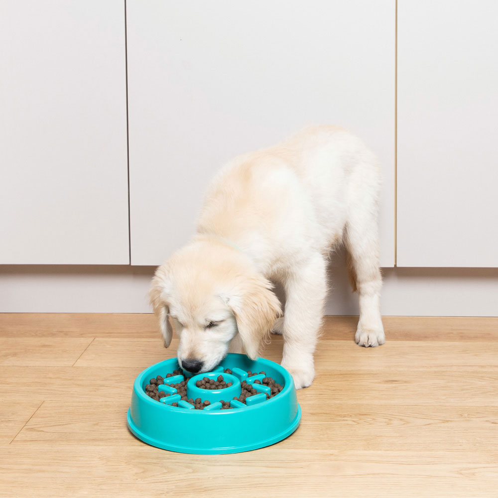 Happy Bowl - Donut - Image 3