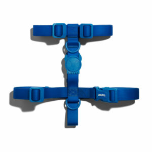 Neopro Blue Dog H Harness