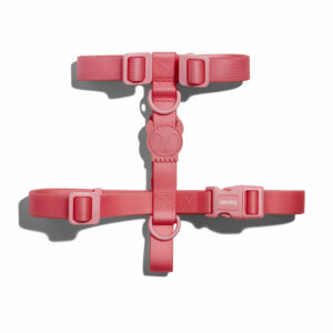 Neopro Bubblegum H Harness