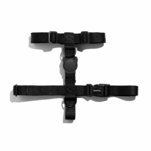 Gotham Dog H Harness