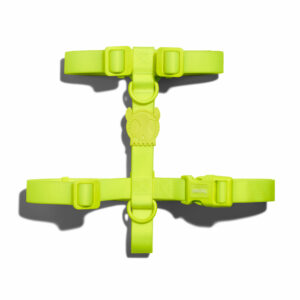 Neopro Lime Dog H Harness