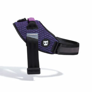 Wicked FlyHarness