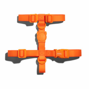 Neopro Tangerine Dog H Harness