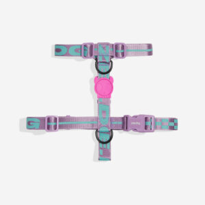 Aura Dog H Harness