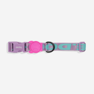 Aura Dog Collar