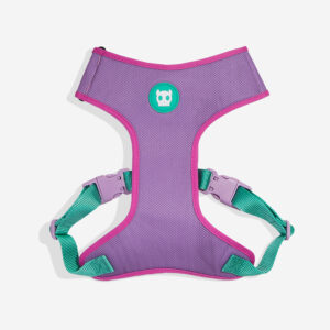 Aura Adjustable Air Mesh Dog Harness