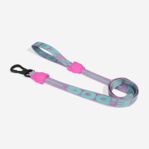 Aura Dog Leash