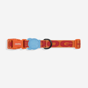 Gibson Dog Collar