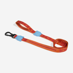 Gibson Dog Leash