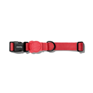 Neon Coral Dog Collar