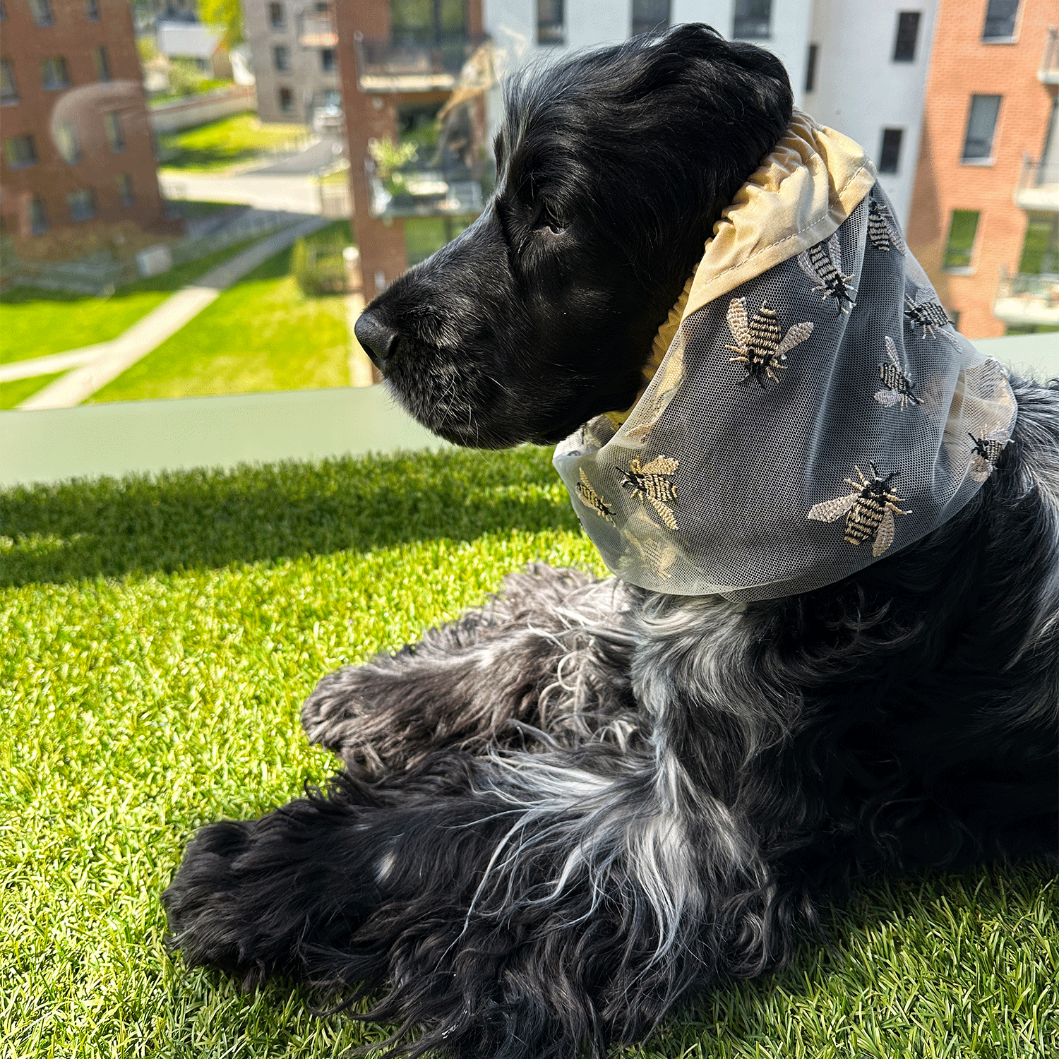 Handmade Breathable Snood Bees for dogs