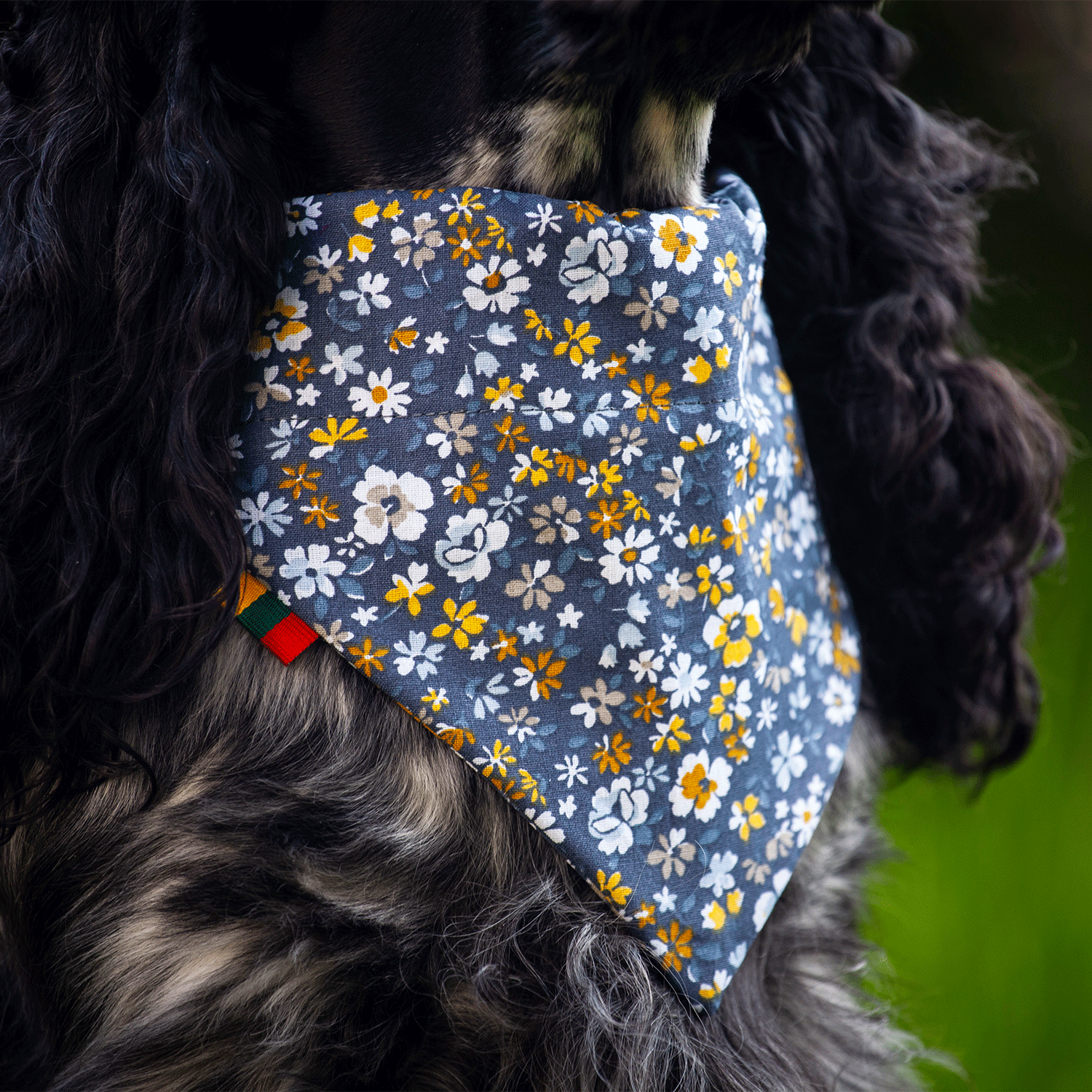 Pink Flowers Bandana for dogs and cats